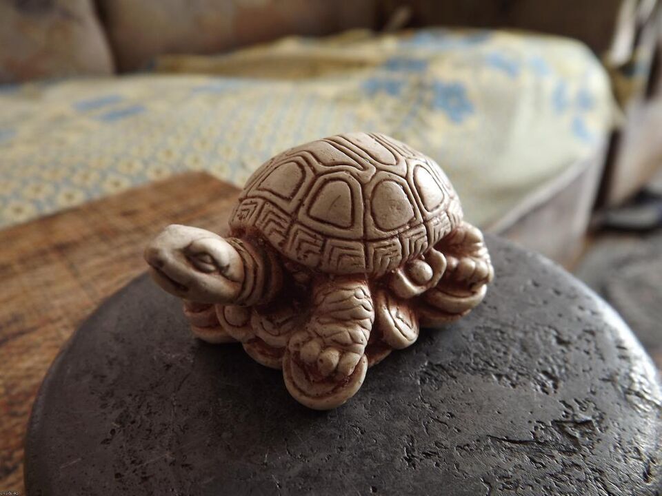 Estatua de tortuga como talismán de buena suerte
