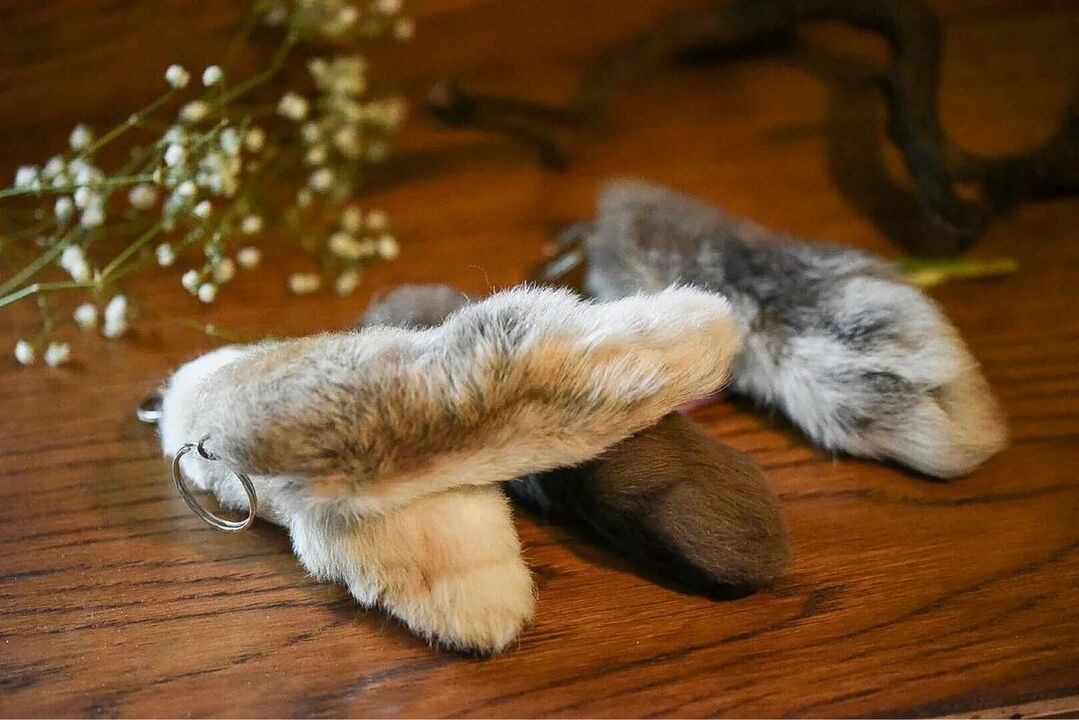 buena suerte patas de conejo
